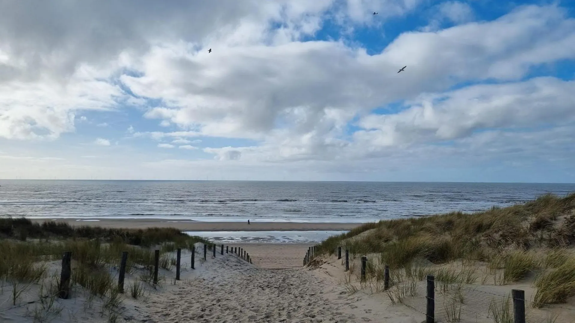 Rembrandts Beach View Zandvoort Guest house